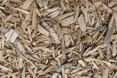 biomass boilers Cleigh